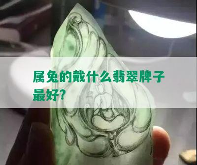 属兔的戴什么翡翠牌子更好?