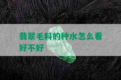 翡翠毛料的种水怎么看好不好