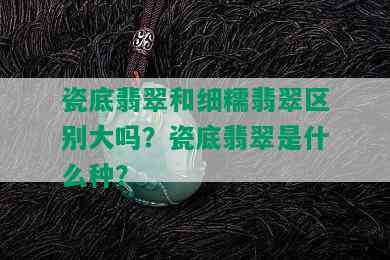 瓷底翡翠和细糯翡翠区别大吗？瓷底翡翠是什么种？