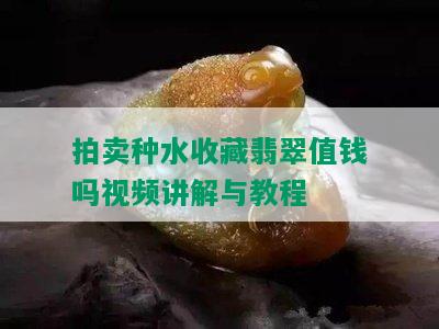 拍卖种水收藏翡翠值钱吗视频讲解与教程