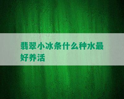 翡翠小冰条什么种水更好养活