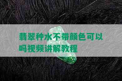 翡翠种水不带颜色可以吗视频讲解教程