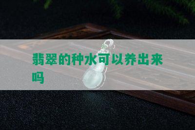 翡翠的种水可以养出来吗