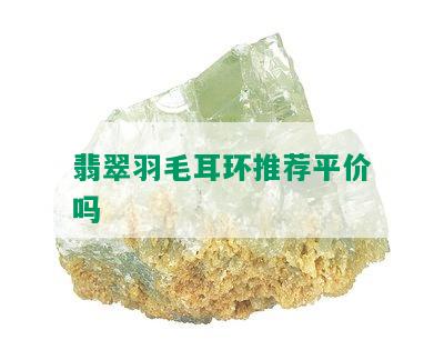 翡翠羽毛耳环推荐平价吗