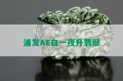 浦发AE白一夜升翡翠