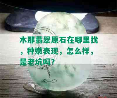 木那翡翠原石在哪里找，种嫩表现，怎么样，是老坑吗？