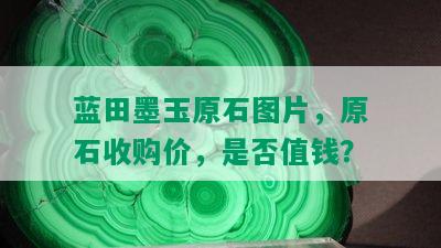 蓝田墨玉原石图片，原石收购价，是否值钱？