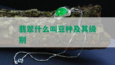 翡翠什么叫豆种及其级别