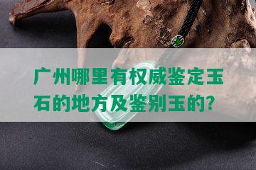 广州哪里有权威鉴定玉石的地方及鉴别玉的？