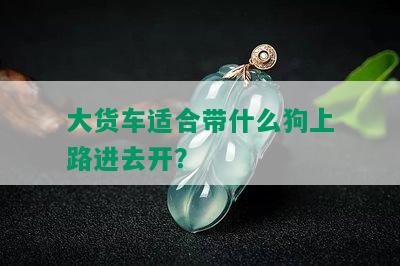 大货车适合带什么狗上路进去开？