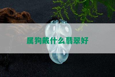 属狗戴什么翡翠好