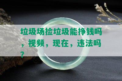 垃圾场捡垃圾能挣钱吗，视频，现在，违法吗？