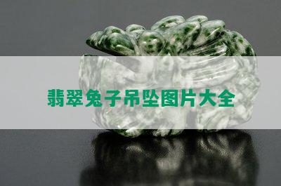 翡翠兔子吊坠图片大全