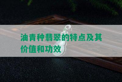 油青种翡翠的特点及其价值和功效