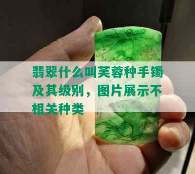 翡翠什么叫芙蓉种手镯及其级别，图片展示不相关种类