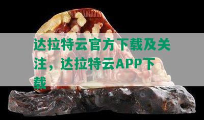 达拉特云官方下载及关注，达拉特云APP下载