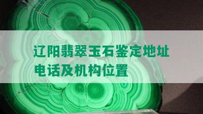 辽阳翡翠玉石鉴定地址电话及机构位置