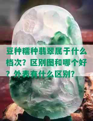 豆种糯种翡翠属于什么档次？区别图和哪个好？外表有什么区别？