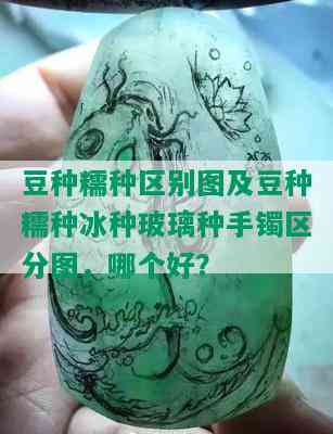 豆种糯种区别图及豆种糯种冰种玻璃种手镯区分图，哪个好？