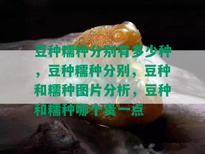 豆种糯种分别有多少种，豆种糯种分别，豆种和糯种图片分析，豆种和糯种哪个贵一点