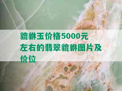 貔貅玉价格5000元左右的翡翠貔貅图片及价位