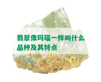 翡翠像玛瑙一样叫什么品种及其特点