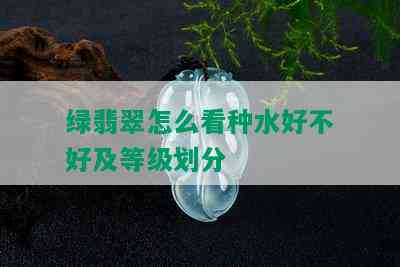 绿翡翠怎么看种水好不好及等级划分