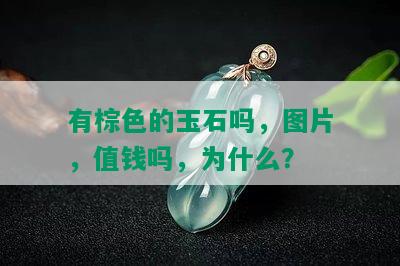 有棕色的玉石吗，图片，值钱吗，为什么？