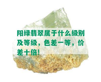 阳绿翡翠属于什么级别及等级，色差一等，价差十倍!