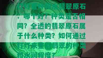 打灯看种和水翡翠原石：哪个好？种类是否相同？全透的翡翠原石属于什么种类？如何通过打灯来鉴别翡翠的种类和水润程度？