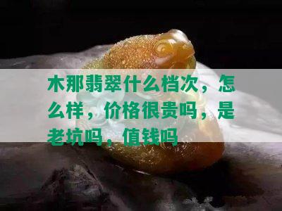 木那翡翠什么档次，怎么样，价格很贵吗，是老坑吗，值钱吗