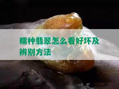 糯种翡翠怎么看好坏及辨别方法