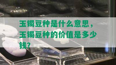 玉镯豆种是什么意思，玉镯豆种的价值是多少钱？