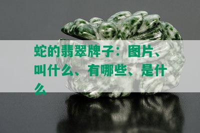 蛇的翡翠牌子：图片、叫什么、有哪些、是什么