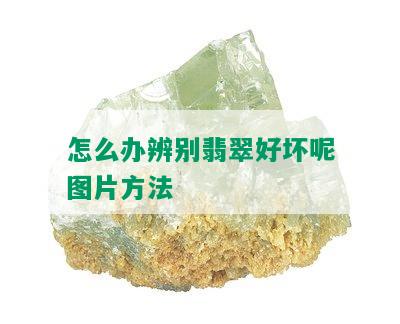 怎么办辨别翡翠好坏呢图片方法