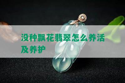 没种飘花翡翠怎么养活及养护