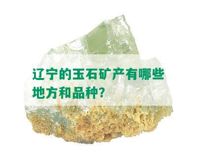 辽宁的玉石矿产有哪些地方和品种？