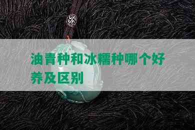 油青种和冰糯种哪个好养及区别