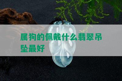 属狗的佩戴什么翡翠吊坠更好