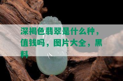 深褐色翡翠是什么种，值钱吗，图片大全，黑料