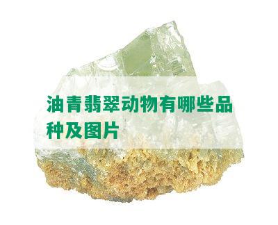 油青翡翠动物有哪些品种及图片