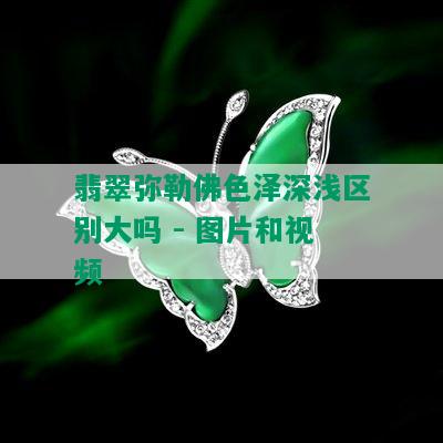 翡翠弥勒佛色泽深浅区别大吗 - 图片和视频