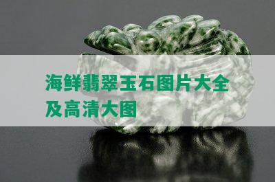 海鲜翡翠玉石图片大全及高清大图