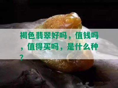 褐色翡翠好吗，值钱吗，值得买吗，是什么种？