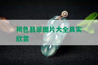 褐色翡翠图片大全真实欣赏