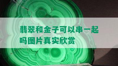 翡翠和金子可以串一起吗图片真实欣赏