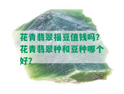 花青翡翠福豆值钱吗？花青翡翠种和豆种哪个好？