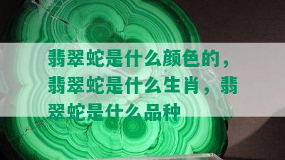 翡翠蛇是什么颜色的，翡翠蛇是什么生肖，翡翠蛇是什么品种