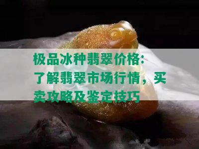 极品冰种翡翠价格: 了解翡翠市场行情，买卖攻略及鉴定技巧