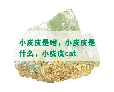 小皮皮是啥，小皮皮是什么，小皮皮cat